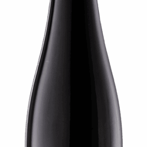 Eine dunkle Glasflasche GILG Grüner Veltliner Ried Hofmauer mit schwarzem Etikett und silbernem Text, gekrönt von einem versiegelten schwarzen Deckel mit silbernem G-Logo.