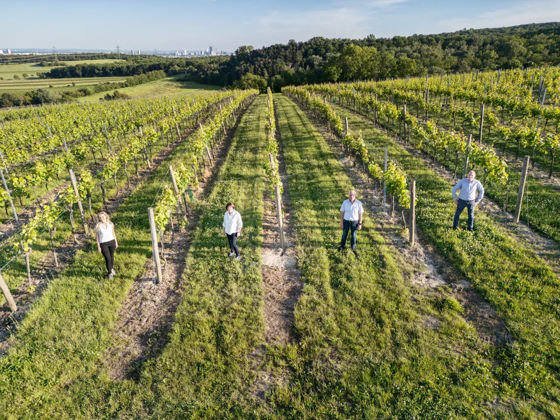 Familie GILG stehen zwischen Reben in einem weiten Weingarten in Hagenbrunn, alle tragen eine dunkle Hose und ein helles Hemd.